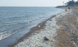 Mersin denizleri için acil çağrı