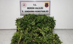 Mersin’de yasaklı madde operasyonu