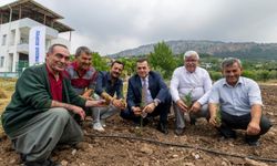İklim krizine karşı tarımsal "Ekolojik Havza" kalkanı