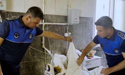 Tarsus'ta fırın denetiminde 660 kilogram kurtlanmış hamur imha edildi