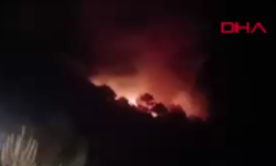 20 dekan kızılçam yanarak kül oldu