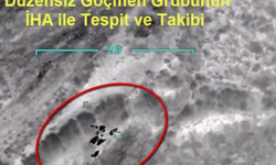 26 İlde göçmen kaçakçılığı operasyonu, 43 tutuklama