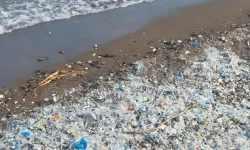 Mersin Çevre Platformu'ndan Akdeniz'deki mikroplastik kirliliğine karşı acil çağrı
