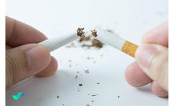 Kaçak tütün ve gıda ürünlerine operasyon