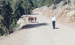 Ali Rıza Özdeniz'den doğal miras vurgusu