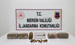 Mersin Jandarmasından zehir tacirlerine darbe