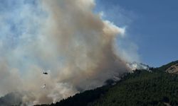 Adıyaman’daki orman yangınına havadan ve karadan müdahale sürüyor