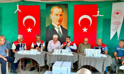 Mersin'de Akdeniz meyve sineğine karşı mücadele sürüyor