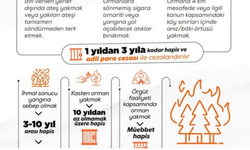 Orman Yangını cezaları cep yakacak! Bakanlıktan Sıfır Tolerans mesajı