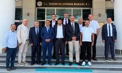 Akdenizli muz üreticilerinden Başkent çıkarması