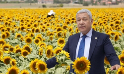 Çukurova çiftçisi ithalat politikalarına terk etmeyin