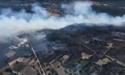 Balıkesir'de Kepsut'un ardından Altıeylül ve Karesi'de de yangın