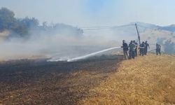 Balıkesir’deki arazi yangını kontrol altında