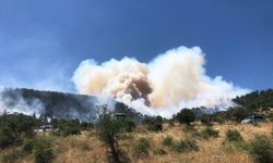 Balıkesir'de orman yangınına acil müdahale