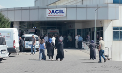 Bingöl’de iki aile arasında taşlı, sopalı ve silahlı kavga: 9 yaralı
