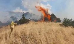 Bingöl’de ormanlık alanda çıkan örtü yangını söndürüldü
