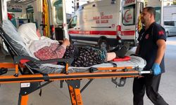 Bursa’da tarım işçilerini taşıyan minibüs devrildi: 7 yaralı