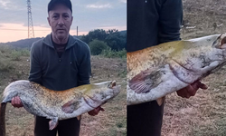 Amatör balıkçı oltayla 35 kilo yayın balığı yakaladı
