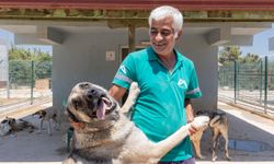 Silifke Rehabilitasyon ve Yaşam Alanı'nda can dostlar güvenle hayata tutunuyor
