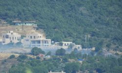 Cunda Adası'nda 1 dönüm orman alanı yandı