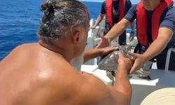 Denizde çuvala dolanan kaplumbağa kurtarıldı