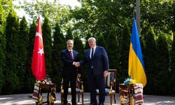 Hakan Fidan'ın Kiev temasları başladı