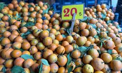 Kışın dalında kaldı, yazın ithal geldi