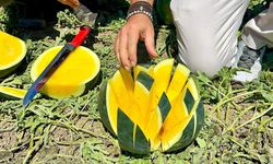 Tarsus’ta "Tropical Sunshine" karpuzu yerinde incelendi
