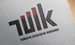 Resmi ilan yayımlayan gazete sayısı yüzde 12,5 azaldı