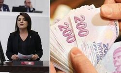 CHP Mersin Milletvekili Kış: "Tasarruf vatandaşa, borç ve faiz Hazine'ye"