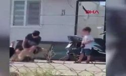Çocuklarının gözü önünde eşini darbetti