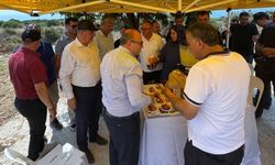 Tarihi Roma Yolu'nda temizlik çalışmaları incelendi