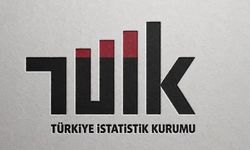 TÜİK: "Yıllık sanayi üretimi mayısta aynı kaldı"