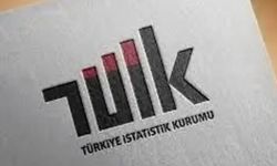 TÜİK: Sanayi ve hizmet sektörlerinde ciro yükselişi sürdü