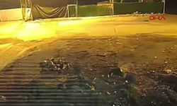 Aç kalan tilki kümese daldı