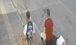 Kediye tekme atan şahsa esnaftan sert tepki