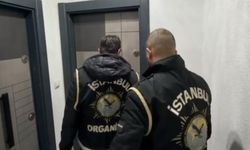 Organize suç örgütüne operasyonda 37 gözaltı
