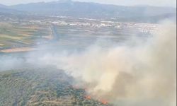 İzmir’de orman yangını