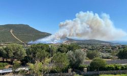 Foça yanıyor!