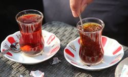 İki çay markasına yasaklı boya şoku