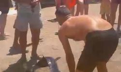 Kılıç balığını kuyruğundan çekip sahile çıkardı