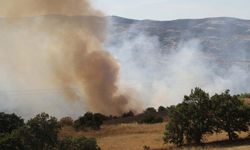 Kula'da orman yangınında 15 hektar alan zarar gördü