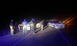 Koyun sürüsüne çarpan araç 6 koyunun canını aldı!