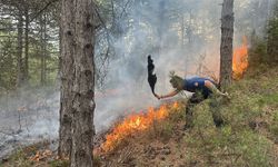 Orman yangını ekiplerin müdahalesiyle durduruldu