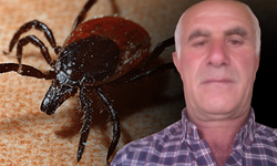 Tokat'ta vücuduna tutunan keneyi çıkardıktan 4 gün sonra öldü