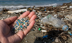 Akdeniz'de mikroplastik alarmı!