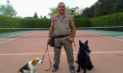 Köpek Eğitmeni Tufan Karagöl: Köpeği eğitmek kolay, sahibini eğitmek daha zor