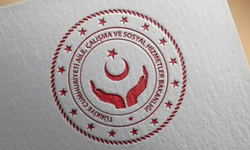 Koruyucu aile ve kuruluş bakımındaki öğrencilerden YKS başarısı