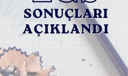 LGS sonuçları meb.gov.tr'de erişime açıldı
