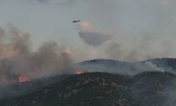 Orman yangınına havadan ve karadan müdahale